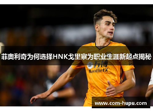 菲奥利奇为何选择HNK戈里察为职业生涯新起点揭秘